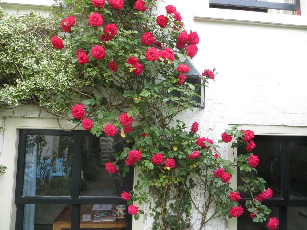 Apple Tree Cottage - Charming Home At Beautiful Canal In Our Idyllic Garden Гауда Экстерьер фото